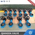 Cast Steel Wafer Lined Rubber Seated Type Butterfly Valve 3