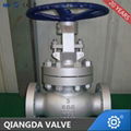 API Rising stem Cast steel Flanged globe valve 1