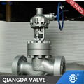 API Rising stem Cast steel Flanged globe valve 2