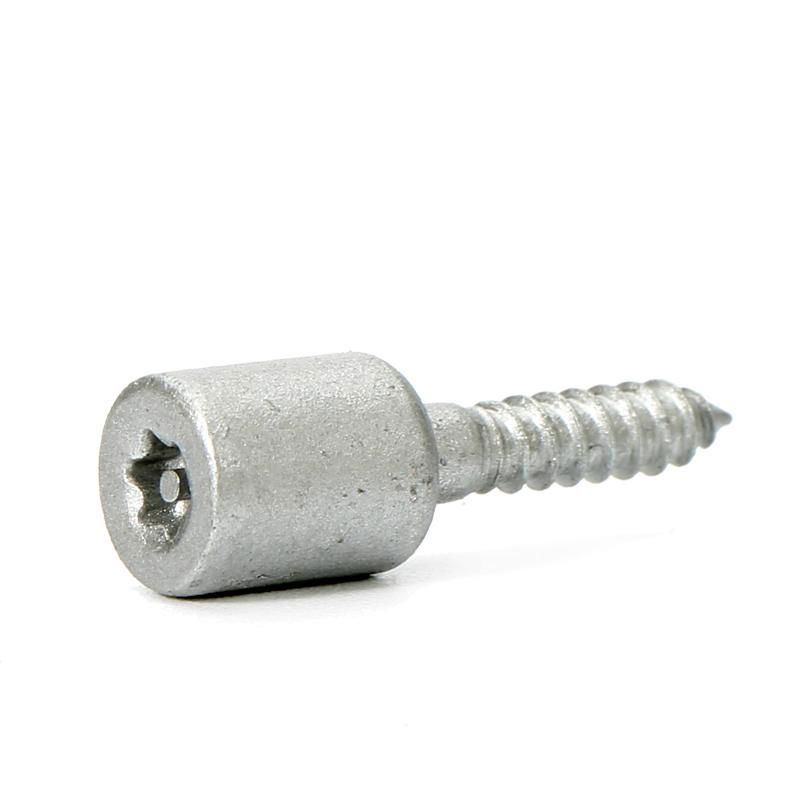 Carbon Steel Torx/Six Lobe Security Screw Self-Tapping Screws 2