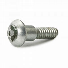 Anti-Theft T Head Auto Security Shear Screw