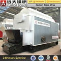 DZL Yuanda manufactory Industrial Chain Grate Coal biomass Fired Steam Boiler Pr 2