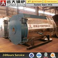 WNS Steam Gas Oil Biomass Fired Steam