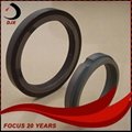 Stationary Graphite Seal Ring 2