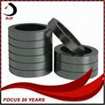 Stationary Graphite Seal Ring 3