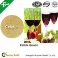 Food Grade Gelatin Powder 2