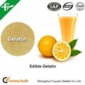 Food Grade Gelatin Powder 4