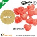 Food Grade Gelatin Powder 3