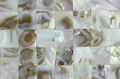 MOP-M06 kitchen backsplash mother of pearl shell mosaic tile 2