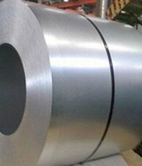 Stainless Steel Coil