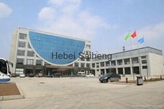 Shenghua Group Hebei Saiheng Food Processing Equipment Co.,Ltd