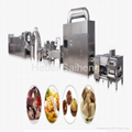Saiheng Wafer Biscuit Production Line 2