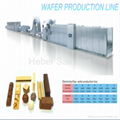 Saiheng Wafer Biscuit Production Line 4