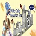 Saiheng Wafer Biscuit Production Line 1