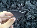 Coconut Shell Charcoal 1