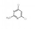 4,6-Dichloro-2-methylpyrimidine 1