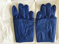 #6412 Polyisoprene Surgical Gloves 2