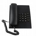 Wireless telephone 1