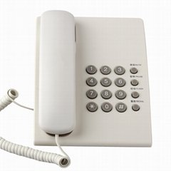Wireless telephone