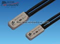 Temperature controlled switch thermal protector 1