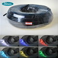 Fiber optic swimming pool light with LED light engine and end emitting cable 2