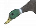 Outdoor hunting decoy view wind duck