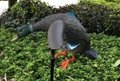 Outdoor hunting decoy view wind duck  for outdoor garden forest mountain 5