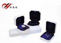 White Color Plastic Jewellery Box Made In Rubber Paint With Spotlight