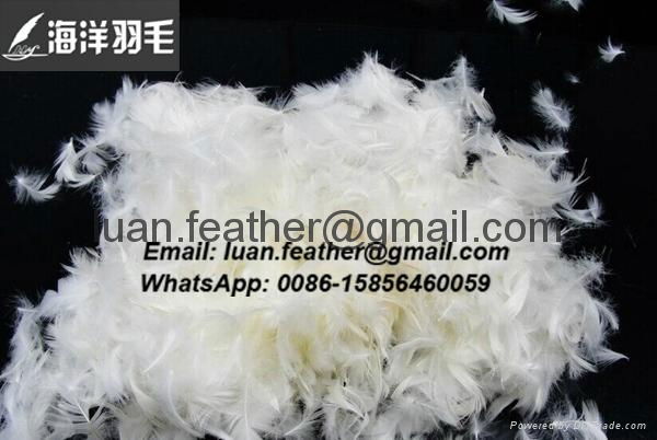 2-4cm white goose feather