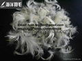 2-4cm white goose feather 3