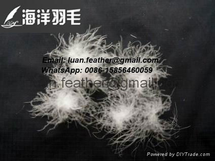 Wholesale High Filling White Washed Goose/Duck Down Feather