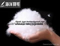 Wholesale High Filling White Washed Goose/Duck Down Feather 2
