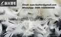 Wholesale High Filling White Washed Goose/Duck Down Feather 3