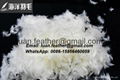 Wholesale High Filling White Washed Goose/Duck Down Feather 4