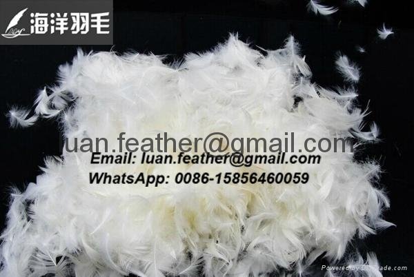 Wholesale washed filling material white goose down feather 2