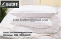 Goose down and feather filling 233TC 100% cotton fabric white hotel pillow 2