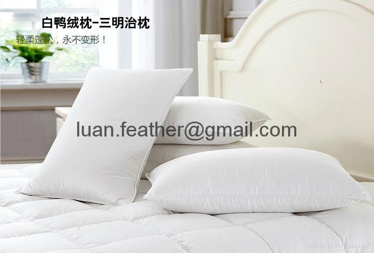 Goose down and feather filling 233TC 100% cotton fabric white hotel pillow