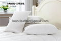 Goose down and feather filling 233TC 100% cotton fabric white hotel pillow 1