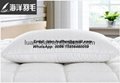 Goose down and feather filling 233TC 100% cotton fabric white hotel pillow 5