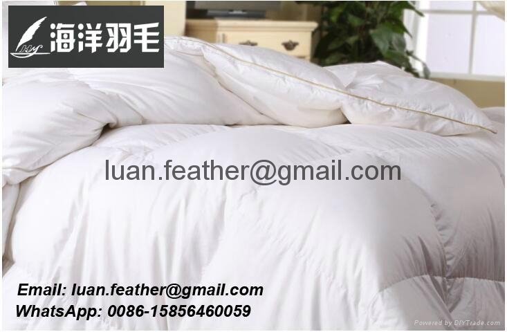 Wholesale Good price Luxury Hotel White Duck and Goose Feather Down Quilt Duvet
