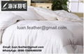 Wholesale Good price Luxury Hotel White