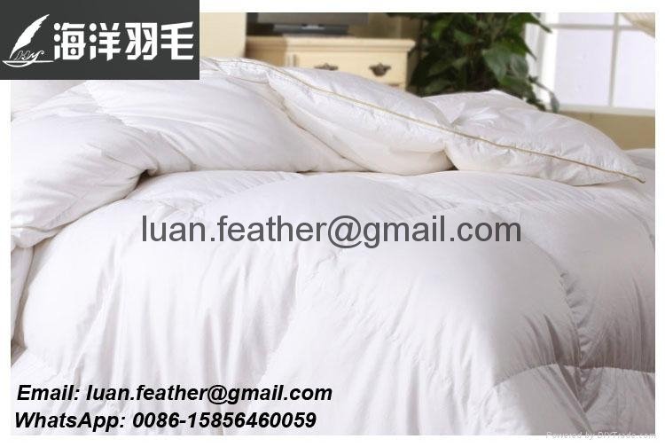 Wholesale Good Price Luxury Hotel White Duck And Goose Feather