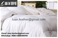 Wholesale Good price Luxury Hotel White Duck and Goose Feather Down Quilt Duvet 2