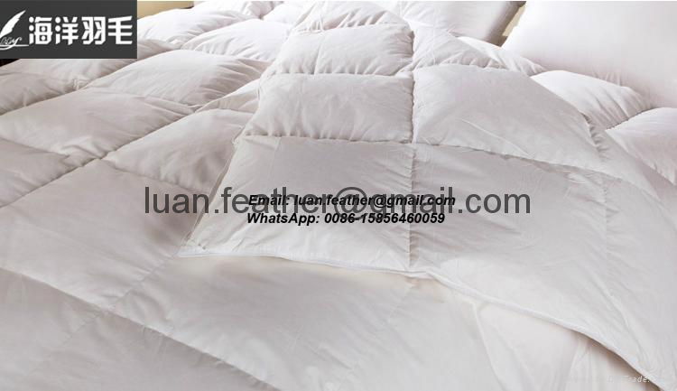 Wholesale Good price Luxury Hotel White Duck and Goose Feather Down Quilt Duvet 3