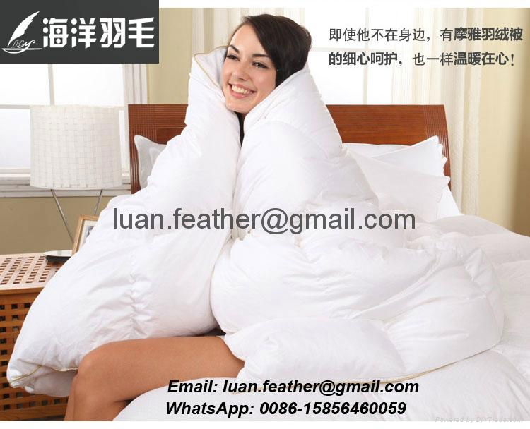 Wholesale Good price Luxury Hotel White Duck and Goose Feather Down Quilt Duvet 5