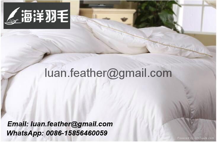 All Seasons White Goose Down Duvet China Factory Direct Sell 2