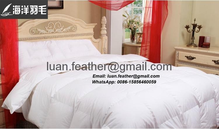 All Seasons White Goose Down Duvet China Factory Direct Sell 4