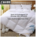 All Seasons White Goose Down Duvet China Factory Direct Sell 5