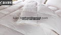 China Factory The Sea Feather Direct Sell White Goose Feather Queen Size Best Fe 1