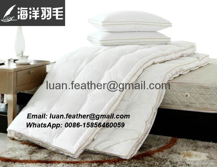 China Factory The Sea Feather Direct Sell White Goose Feather Queen Size Best Fe 2